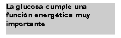 Cuadro de texto: La glucosa cumple una funcin energtica muy importante